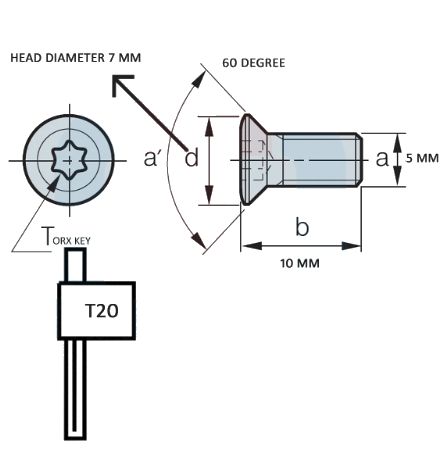 Star Screw for insert ( 100 pack )