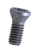 Star Screw for insert ( 10 pack )