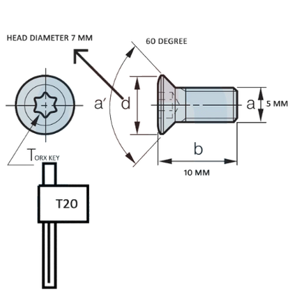 Star Screw for insert ( 100 pack )